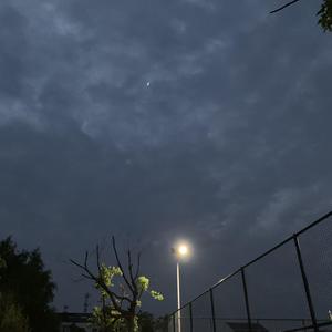 特级毛片爽www免费版
