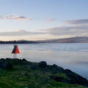 特级毛片爽www免费版
