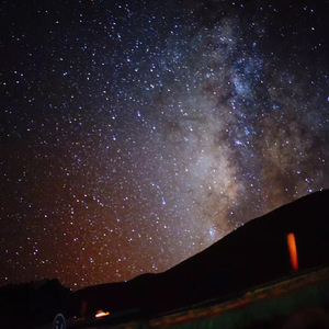 特级毛片爽www免费版
