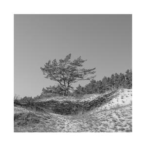 特级毛片爽www免费版
